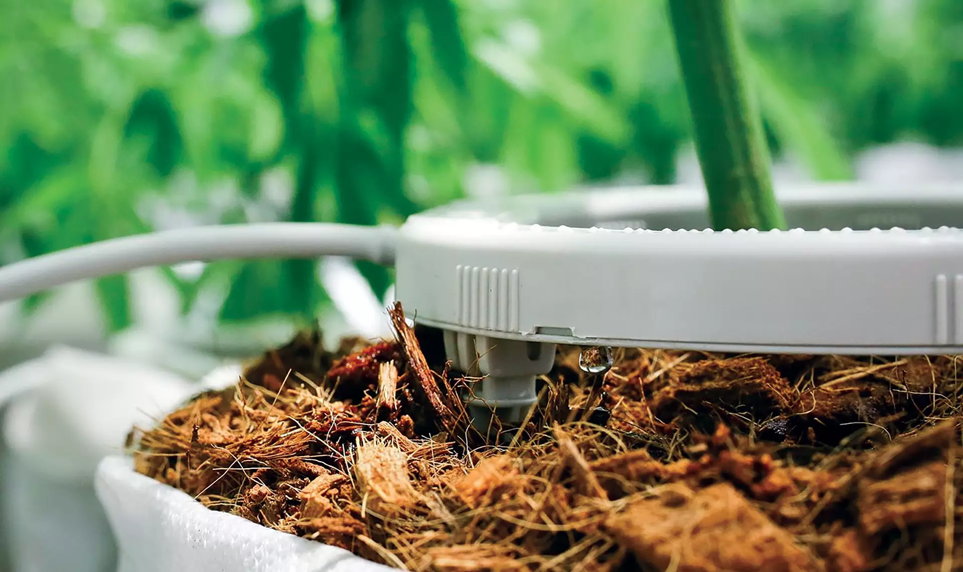 Hydroponic Irrigation