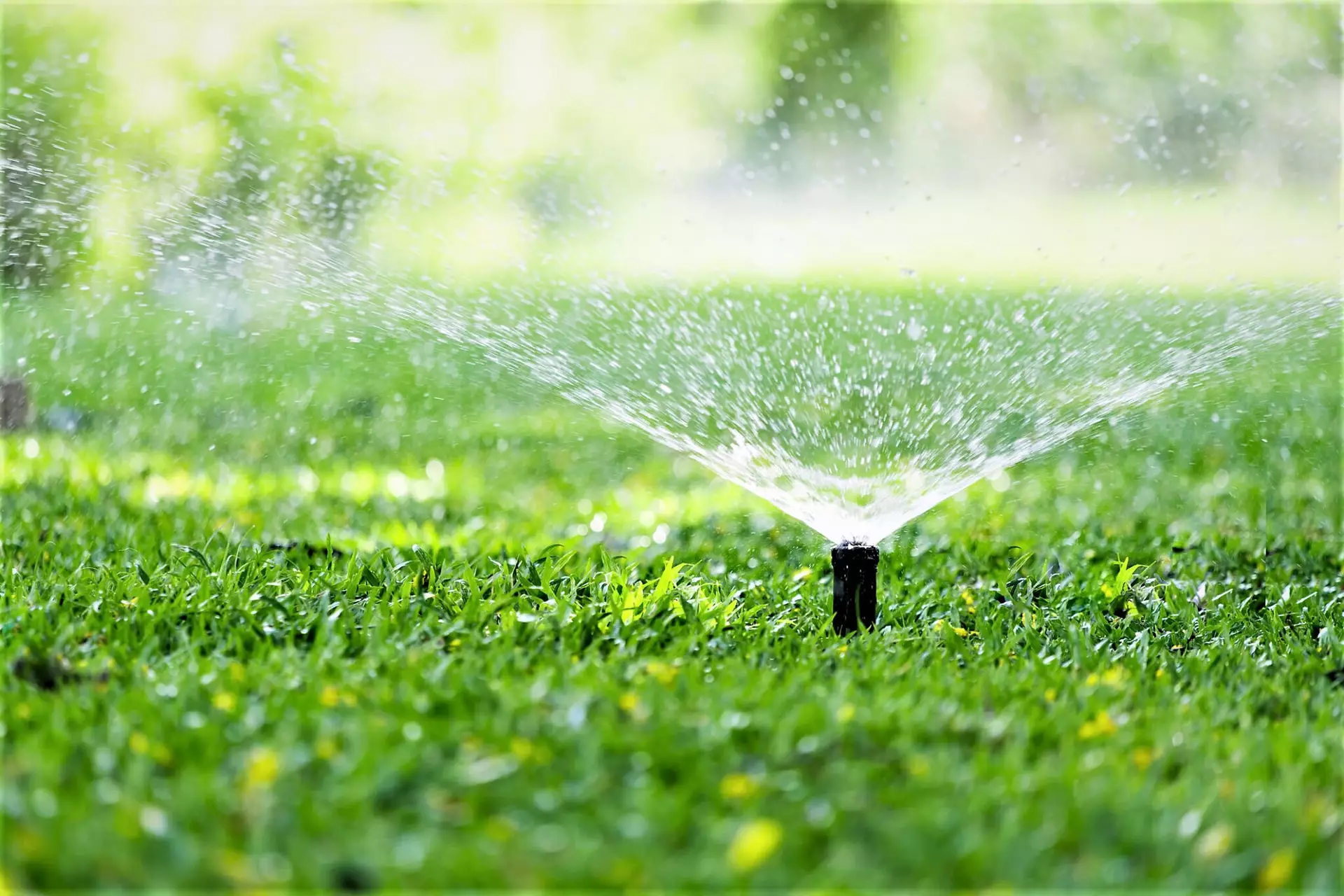 Lawn Irrigation Systems