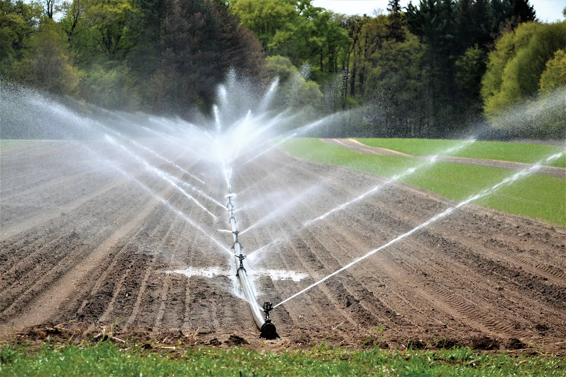 Sprinkler Irrigation