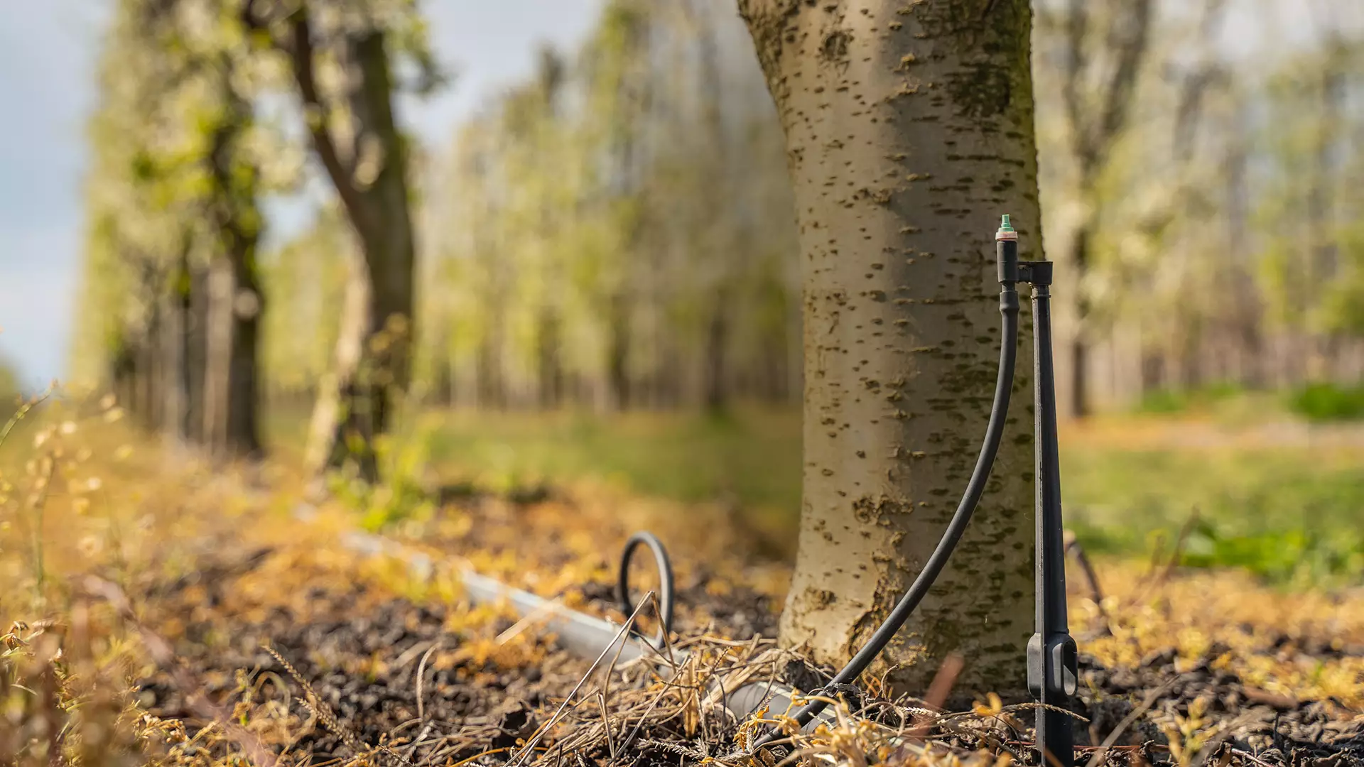 Under-Tree Micro Sprinkler