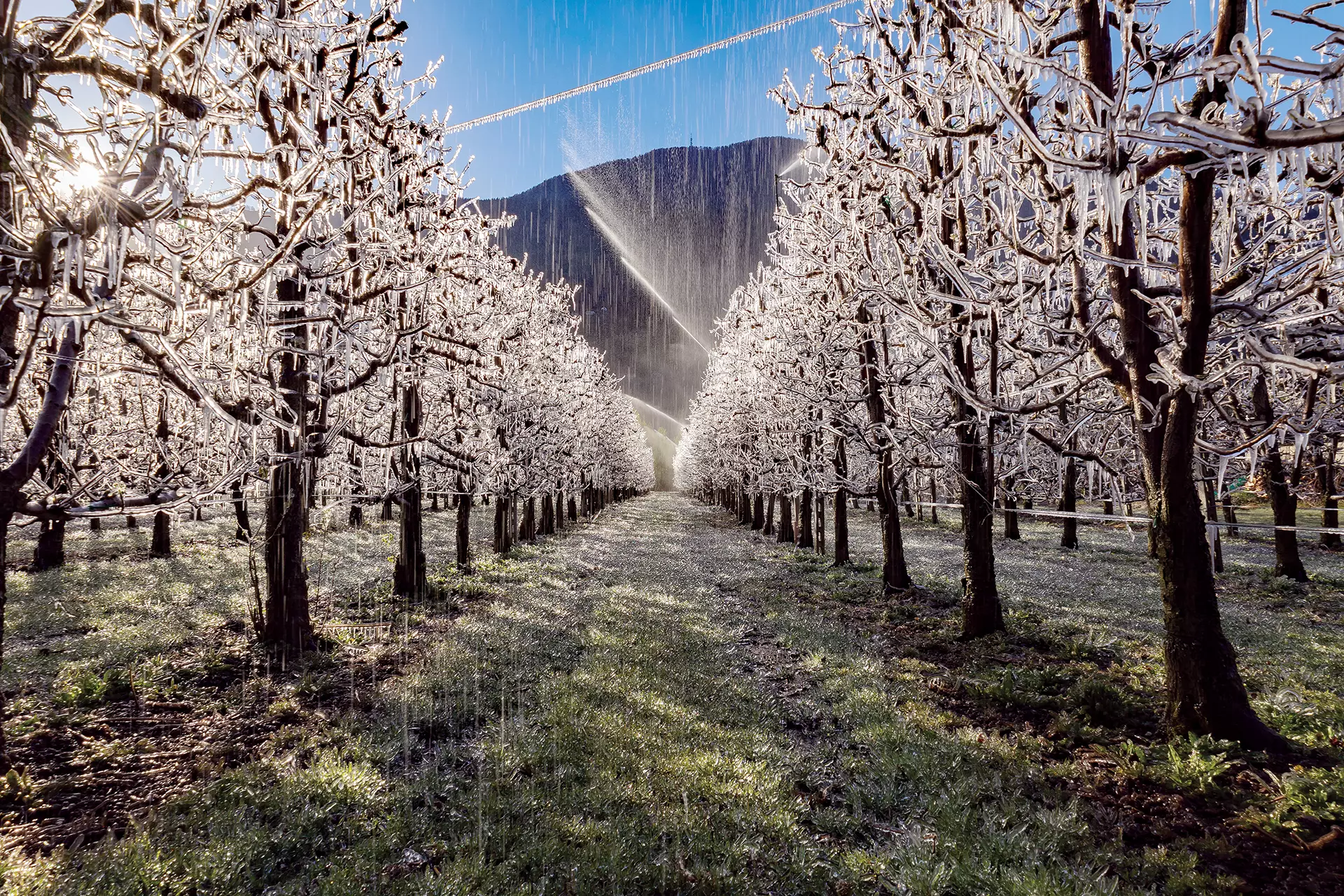 Agricultural Frost Protection