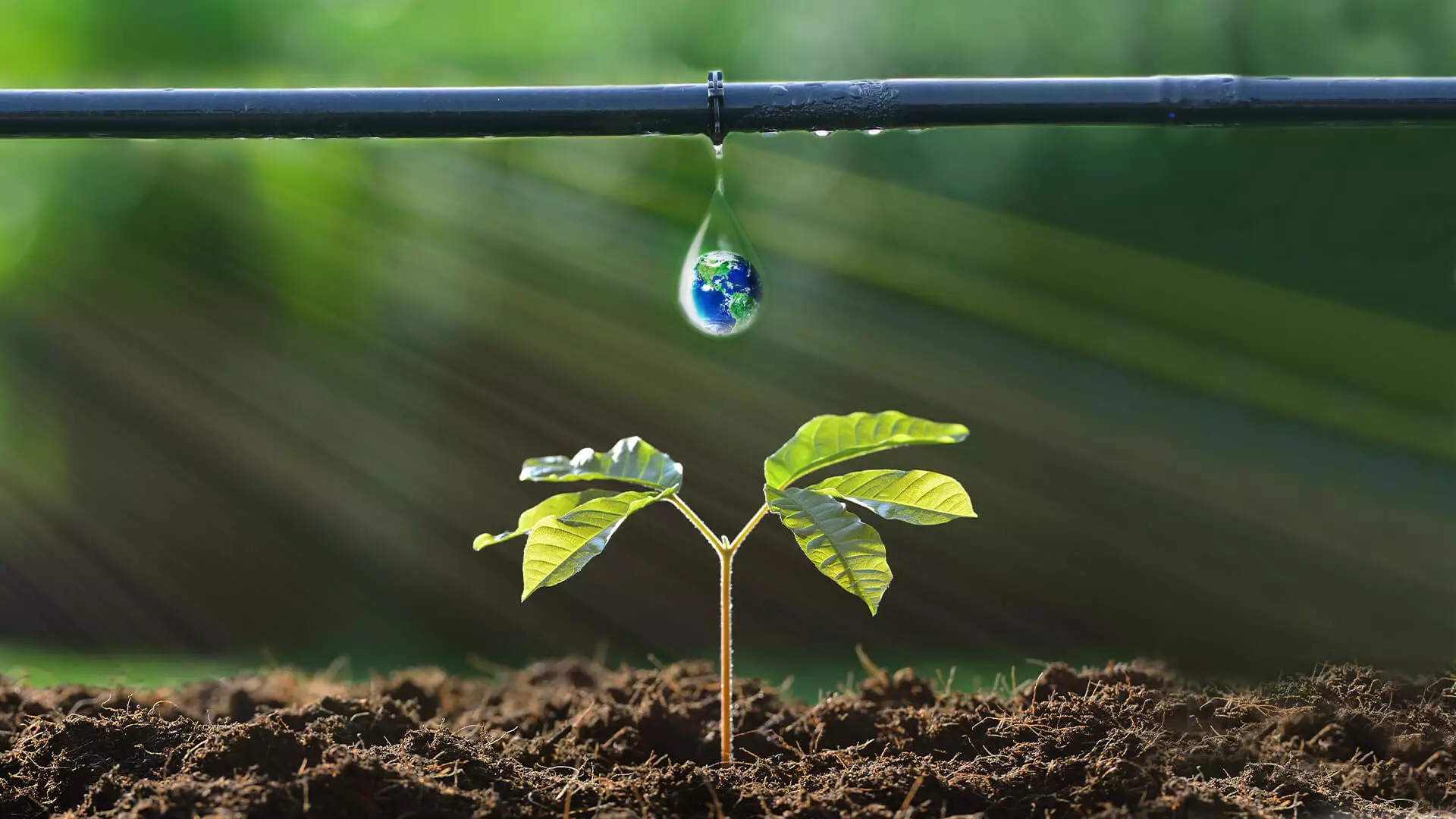 Drip Irrigation Systems