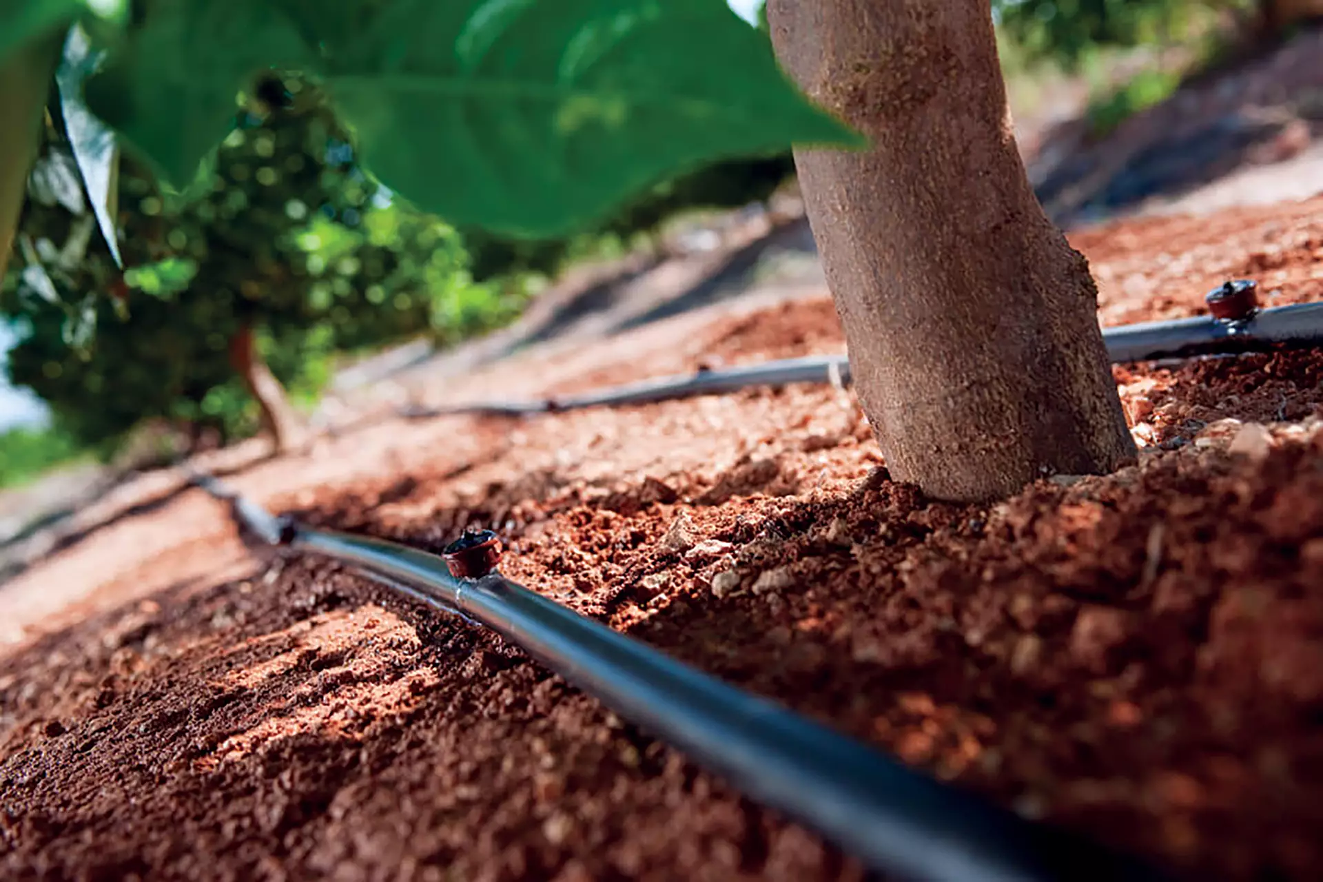 Drip Irrigation Systems