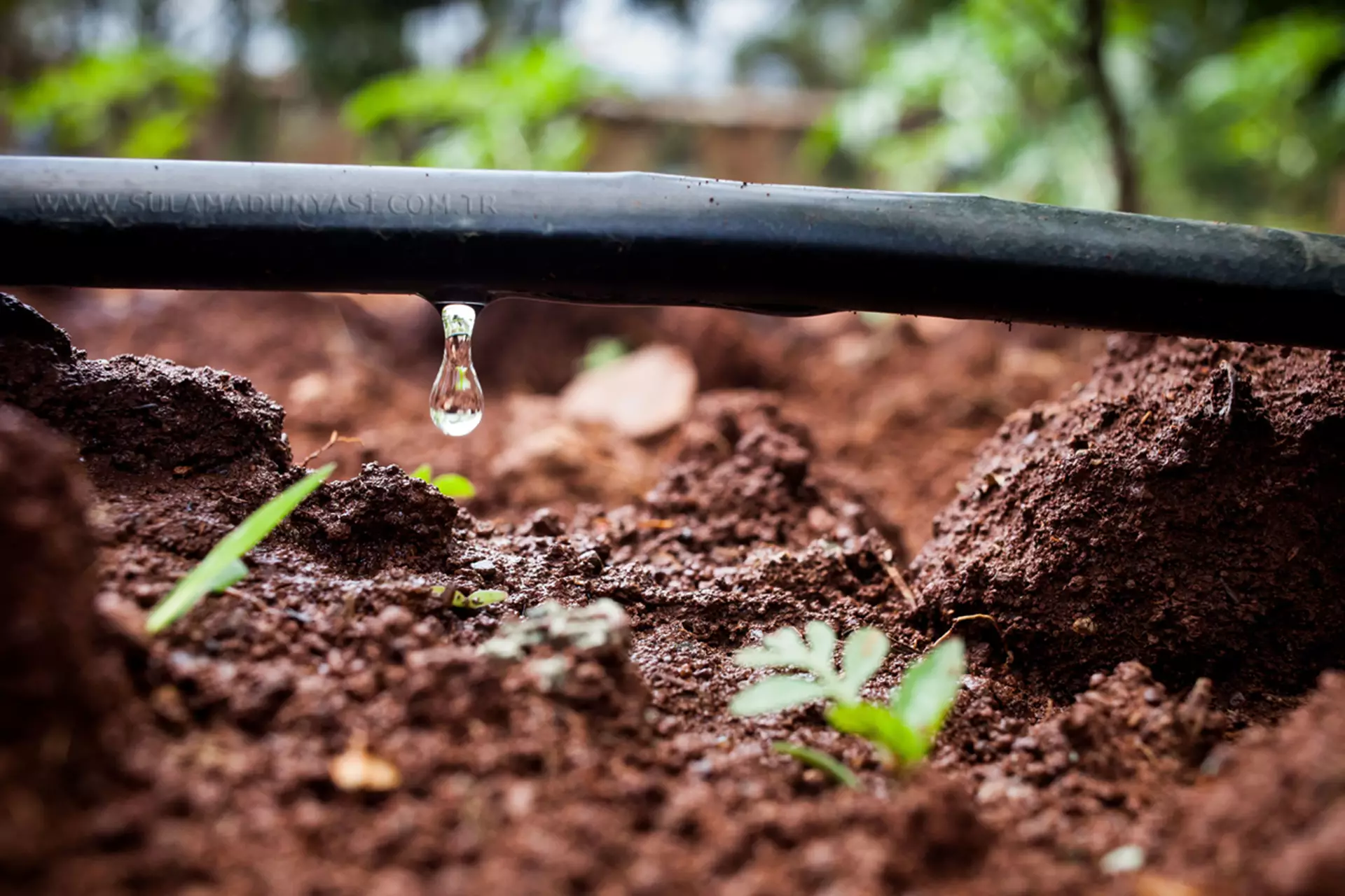 Drip Irrigation Systems