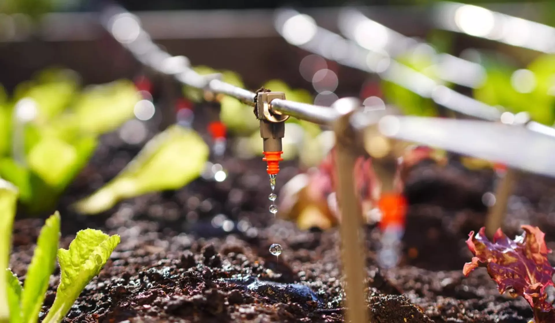 Drip Irrigation Systems