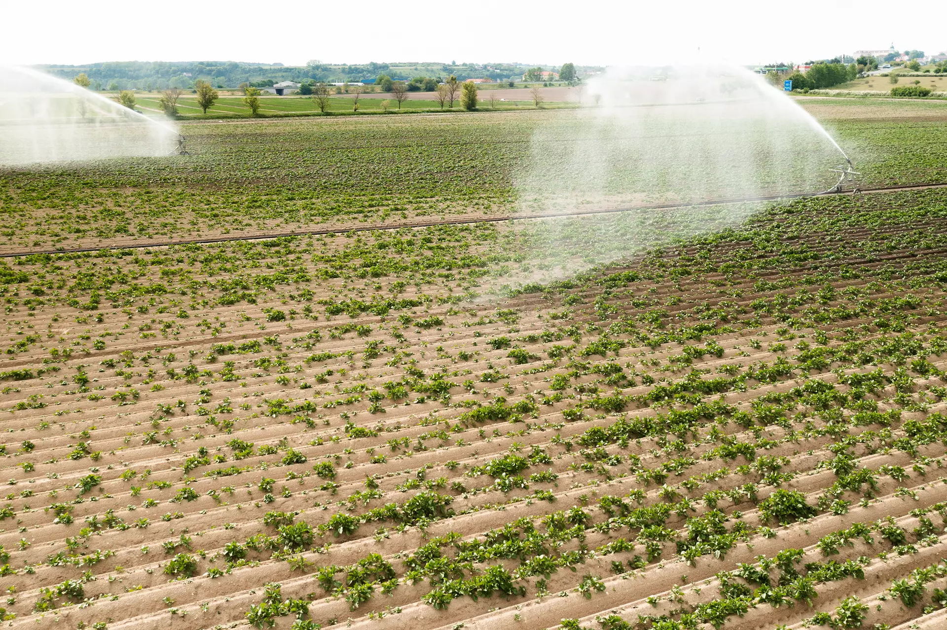 Sprinkler Irrigation