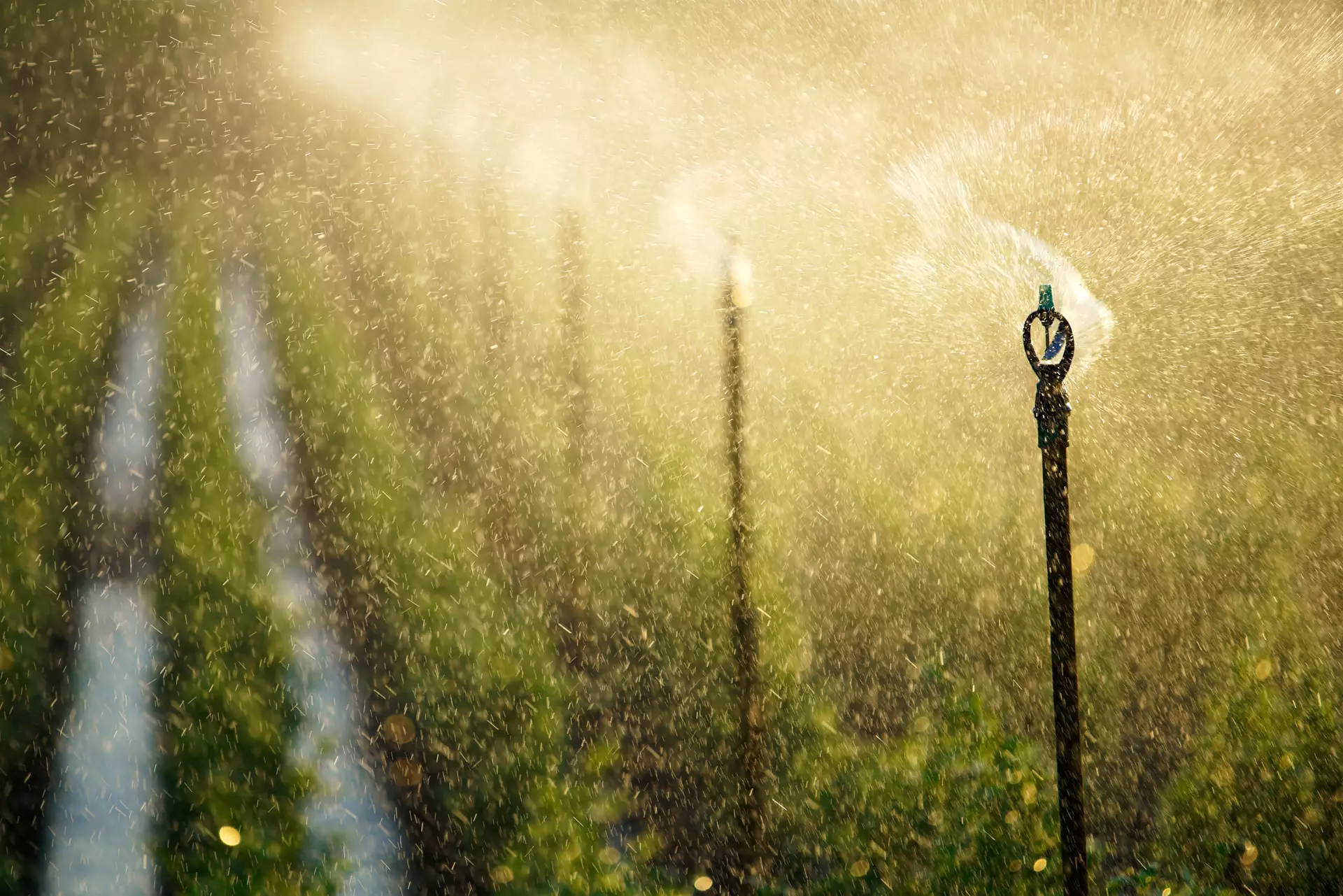 Sprinkler Irrigation