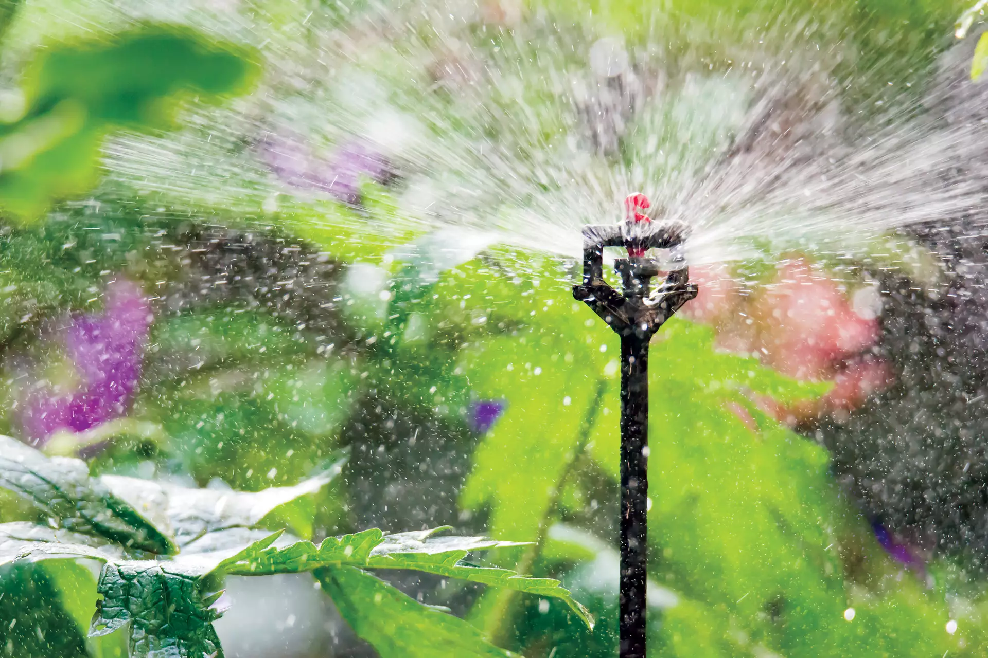 Sprinkler Irrigation