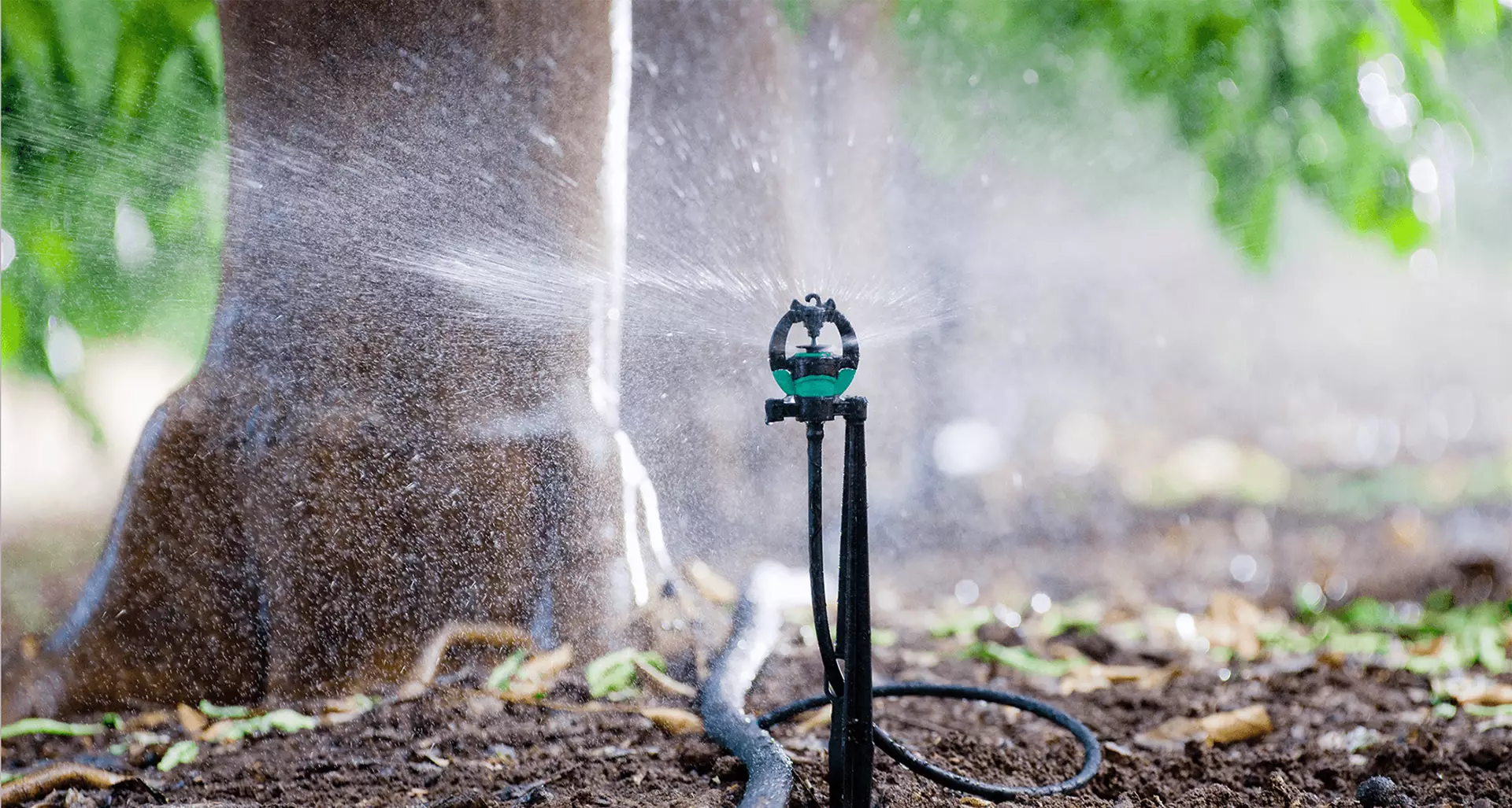 Under-Tree Micro Sprinkler