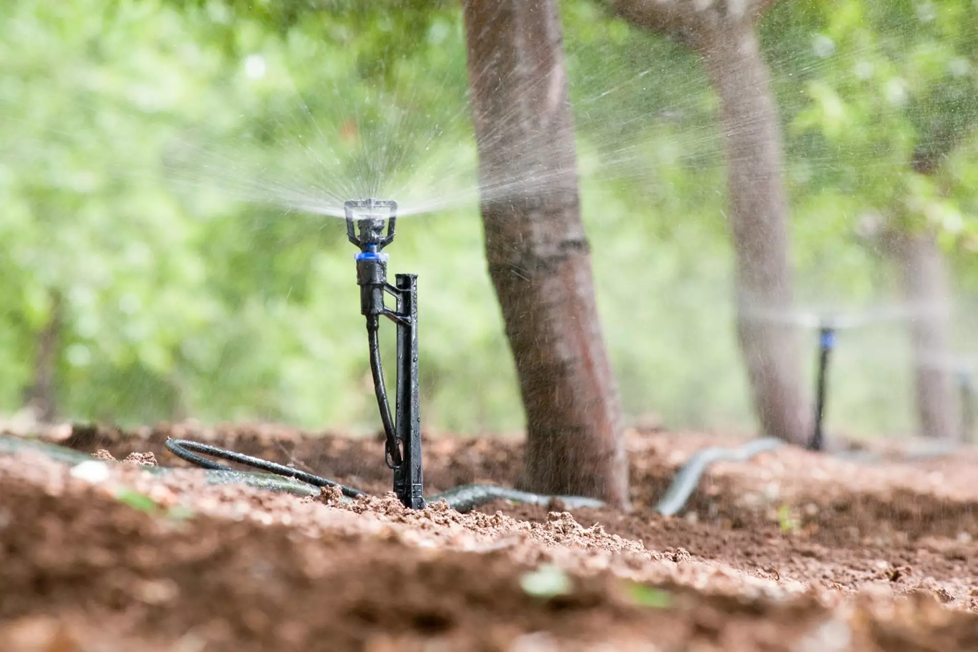 Under-Tree Micro Sprinkler